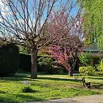 Les Cedres Bleus Bed & Breakfast 3*