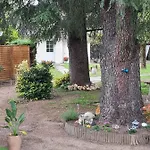 Bed & Breakfast Les Cedres Bleus Saint-Medard-de-Mussidan