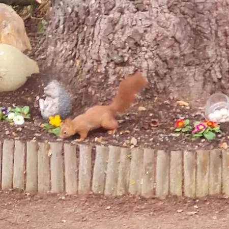 Les Cedres Bleus 3* Saint-Medard-de-Mussidan