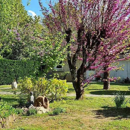 Les Cedres Bleus Oda ve Kahvaltı 3*