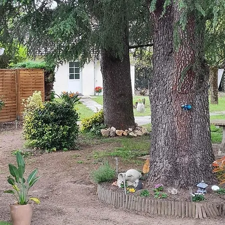 Bed & Breakfast Les Cedres Bleus Saint-Medard-de-Mussidan