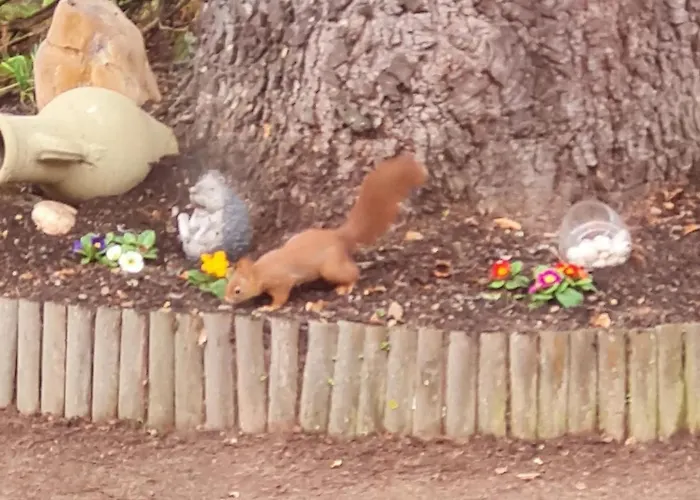 Les Cèdres Bleus 3* Saint-Medard-de-Mussidan