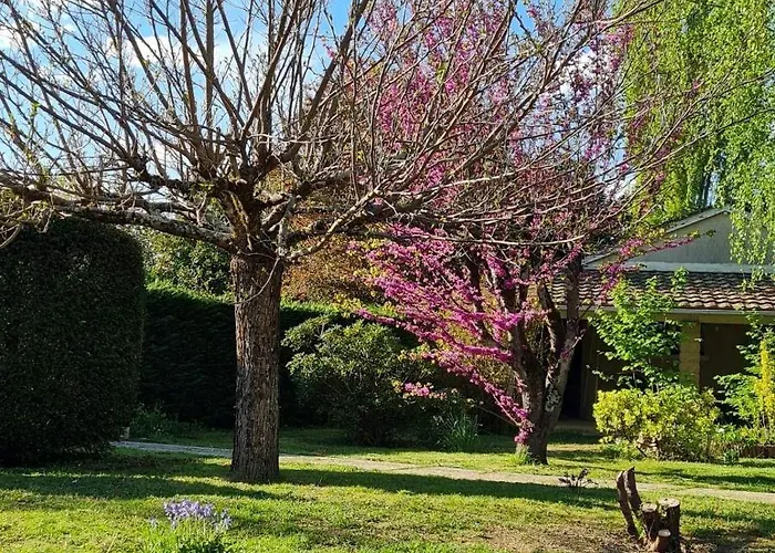 Les Cèdres Bleus Couette-café 3*