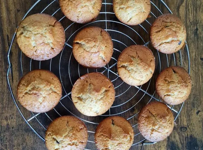 Couette-café Les Cèdres Bleus