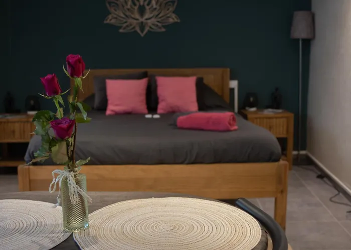 Couette-café Les Cèdres Bleus Saint-Medard-de-Mussidan